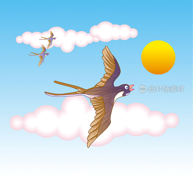 一些燕子在天空中飞行的插图- jpg插图